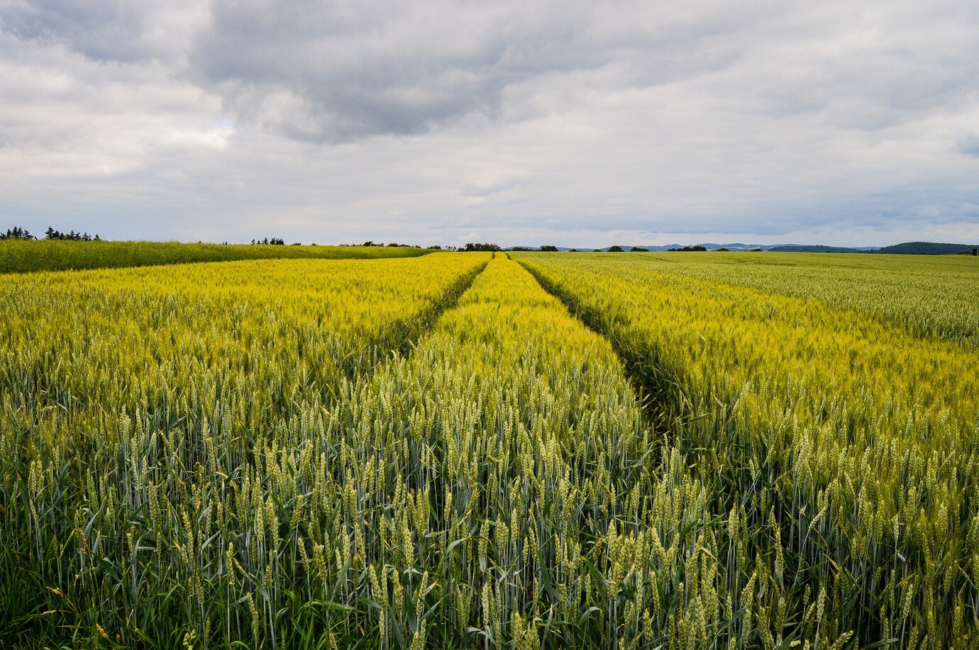 Agricoltura