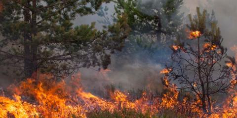 incendio